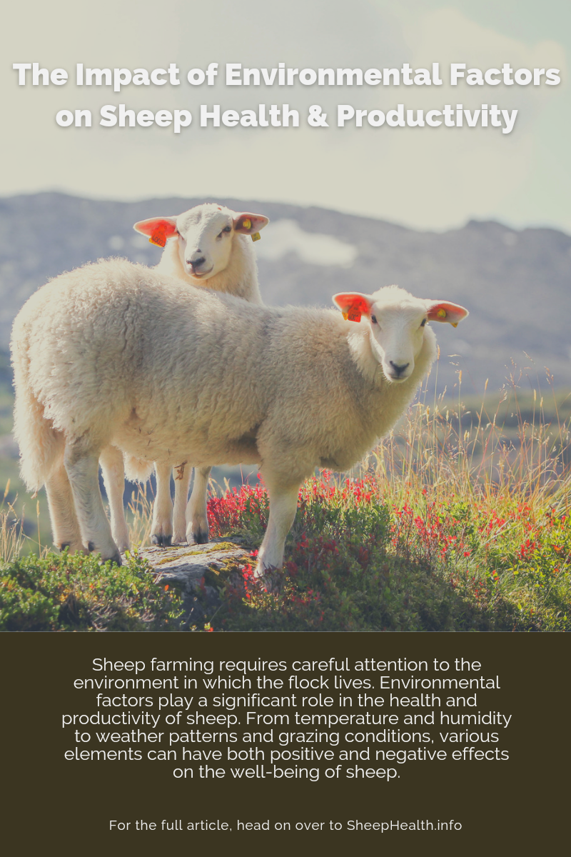 The Impact of Environmental Factors on Sheep Health and Productivity