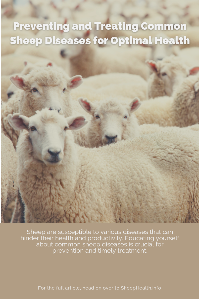 Preventing and Treating Common Sheep Diseases for Optimal Health