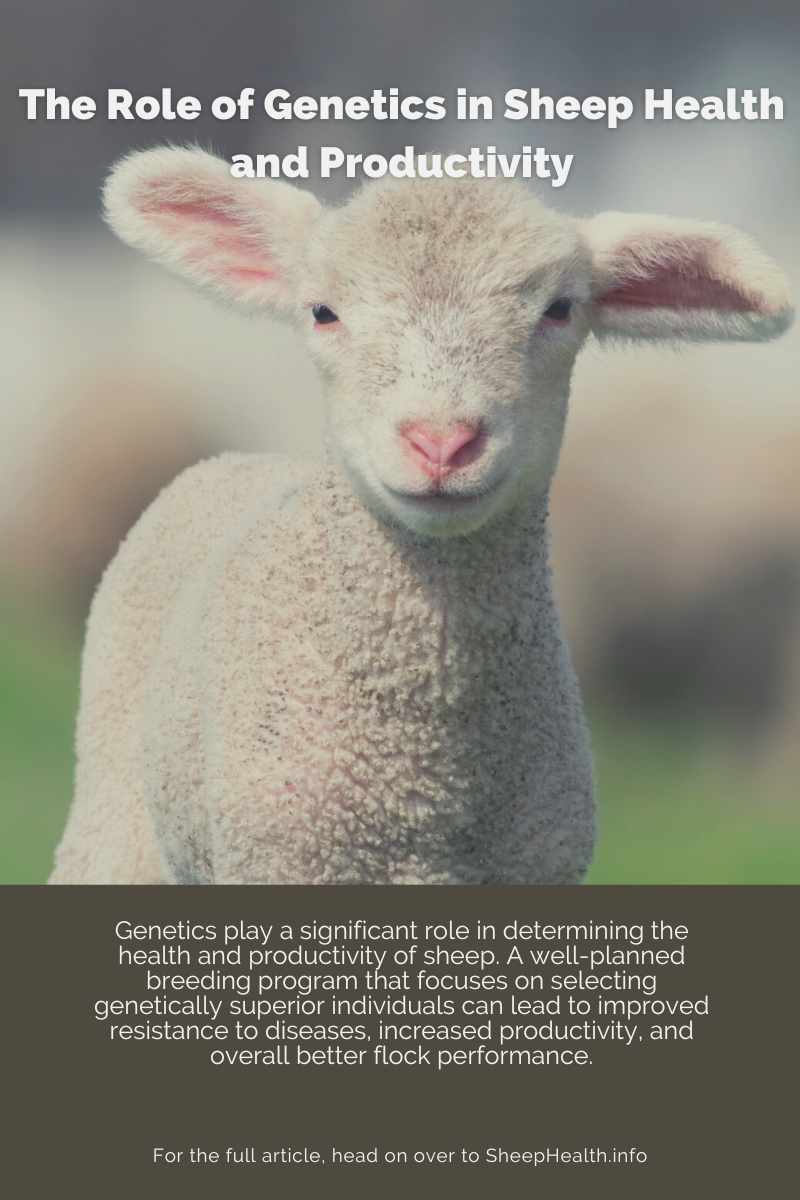 The Role of Genetics in Sheep Health and Productivity