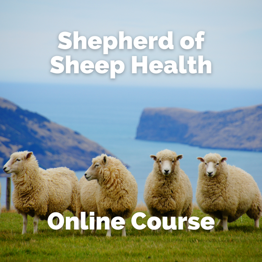 Shepherd of Sheep Health: A Comprehensive Course for Optimal Sheep Wellness