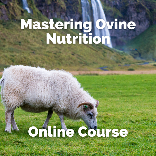 Mastering Ovine Nutrition: A Comprehensive Online Course